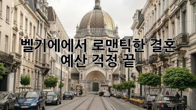 벨기에에서 로맨틱한 결혼, 예산 걱정 끝! ✨
