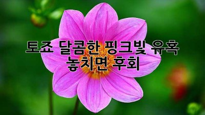 토죠🥂: 달콤한 핑크빛 유혹, 놓치면 후회! 💖